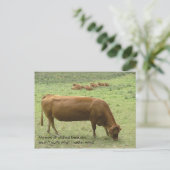 Briefkaart van de verrekte limo (Staand voorkant)