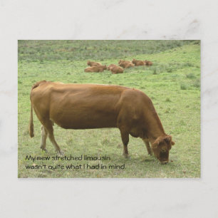 Briefkaart van de verrekte limo