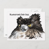 Briefkaart van de visboomkorvisserij (Voorkant / Achterkant)