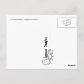 Briefkaart van de vissoort Skunk Anemone (Achterkant)