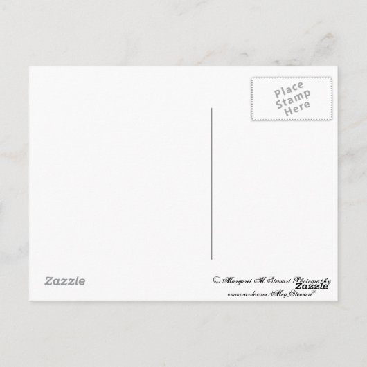 Briefkaart van de vlag (Achterkant)