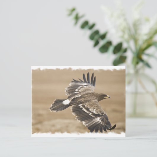 Briefkaart van de vliegende adelaar (Staand voorkant)