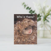 Briefkaart van de vliegende eekhoorn (Staand voorkant)