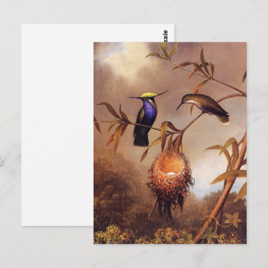 Briefkaart van de vogelfamilie (Voorkant / Achterkant)