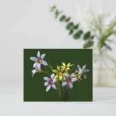 Briefkaart van de voorjaarsbloem met blauwe ogen (Staand voorkant)