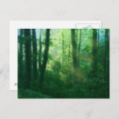 Briefkaart van de vruchtbaarheid (Voorkant / Achterkant)