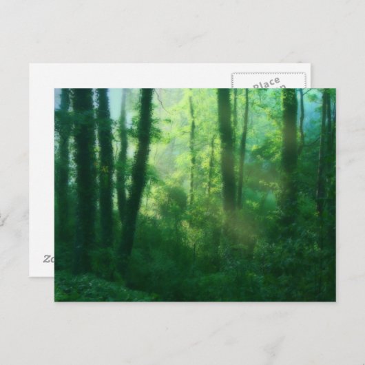 Briefkaart van de vruchtbaarheid (Voorkant / Achterkant)