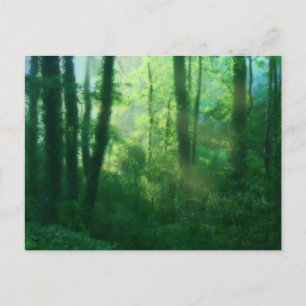 Briefkaart van de vruchtbaarheid