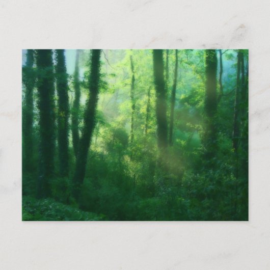 Briefkaart van de vruchtbaarheid (Voorkant)