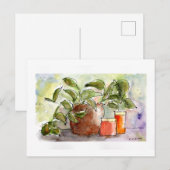 Briefkaart van de Waterverf van het leven (Voorkant / Achterkant)