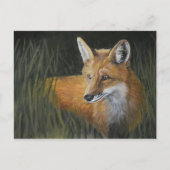 Briefkaart van de wayward Red Fox Animal Art (Voorkant)