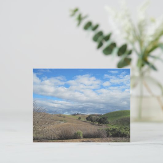 Briefkaart van de werf van Paso Robles in januari (Staand voorkant)