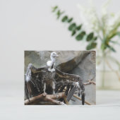 Briefkaart van de wijnbouw (Staand voorkant)