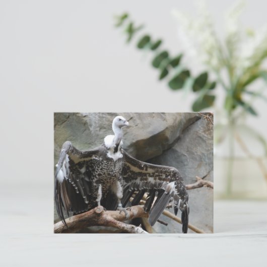 Briefkaart van de wijnbouw (Staand voorkant)