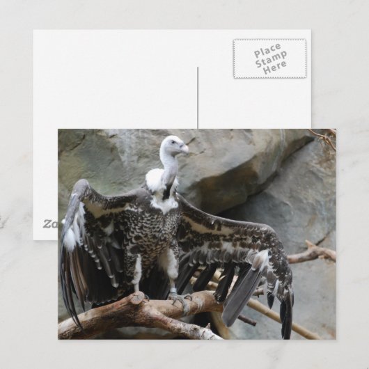 Briefkaart van de wijnbouw (Voorkant / Achterkant)