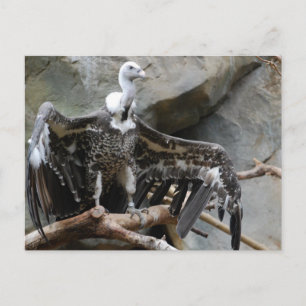 Briefkaart van de wijnbouw