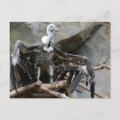 Briefkaart van de wijnbouw (Voorkant)