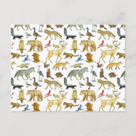 Briefkaart van de wilde dieren van de Grote Meren