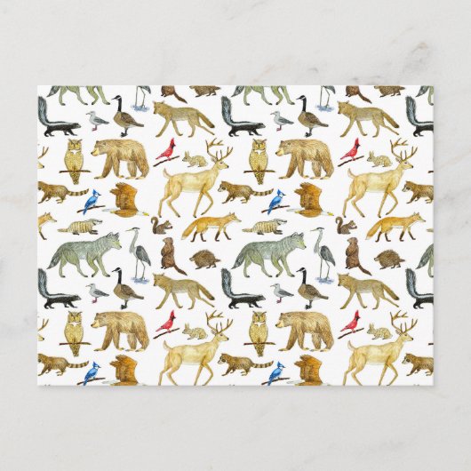 Briefkaart van de wilde dieren van de Grote Meren (Voorkant)