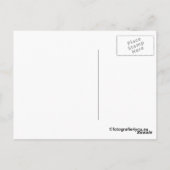 briefkaart van de wilde hengst (Achterkant)