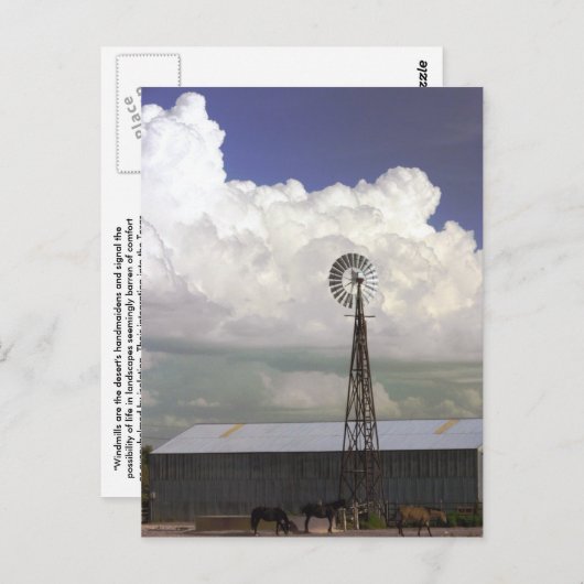 Briefkaart van de windmolen (Voorkant / Achterkant)