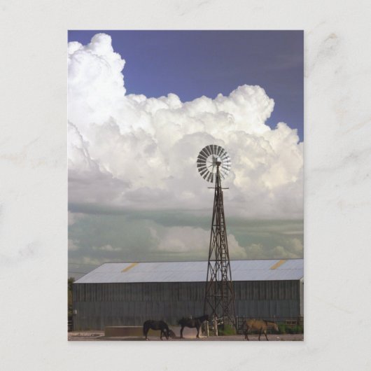 Briefkaart van de windmolen (Voorkant)