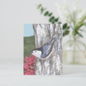 Briefkaart van de witte nuthatch en de roze bloeme (Staand voorkant)
