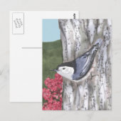 Briefkaart van de witte nuthatch en de roze bloeme (Voorkant / Achterkant)