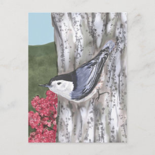 Briefkaart van de witte nuthatch en de roze bloeme