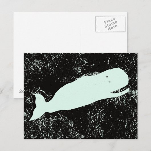 briefkaart van de witte walvis (Voorkant / Achterkant)