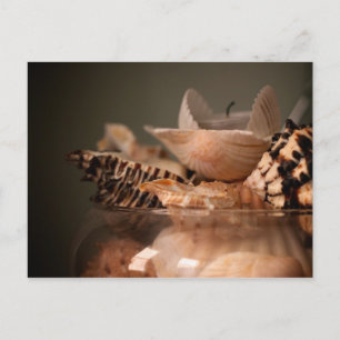 Briefkaart van de zeeluiken