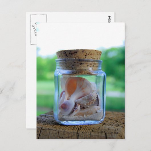 Briefkaart van de zeeluiken (Voorkant / Achterkant)