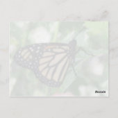 Briefkaart van de Zetepijler (Achterkant)