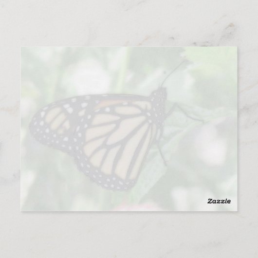 Briefkaart van de Zetepijler (Achterkant)