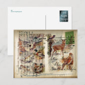 Briefkaart van de zomer- en winterwilde natuur (Voorkant / Achterkant)