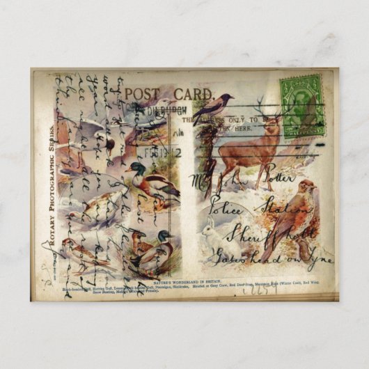 Briefkaart van de zomer- en winterwilde natuur (Voorkant)