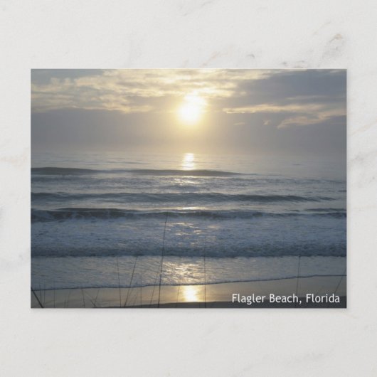 Briefkaart van de Zonnegeweer van Flagler Beach (Voorkant)