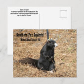 Briefkaart van de Zuidelijke Fox Squirrel (Voorkant / Achterkant)