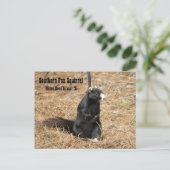 Briefkaart van de Zuidelijke Fox Squirrel (Staand voorkant)