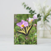 Briefkaart van de zwarte en gele zwitstaartvlinder (Staand voorkant)