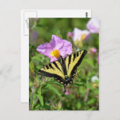Briefkaart van de zwarte en gele zwitstaartvlinder (Voorkant / Achterkant)