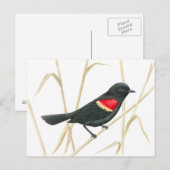 Briefkaart van de zwarte rode hond (Voorkant / Achterkant)