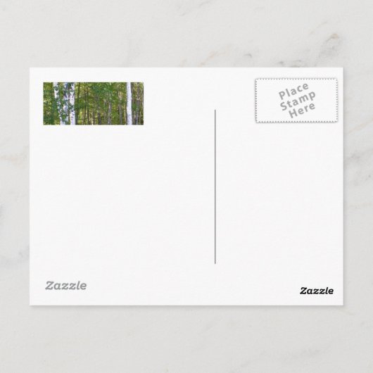Briefkaart van Deur County Birch Trees (Achterkant)