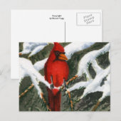 Briefkaart van dieren (Voorkant / Achterkant)