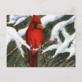 Briefkaart van dieren (Voorkant)