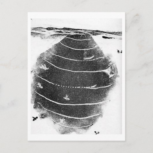 Briefkaart van dieren (Voorkant)