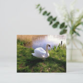 Briefkaart van dieren (Staand voorkant)
