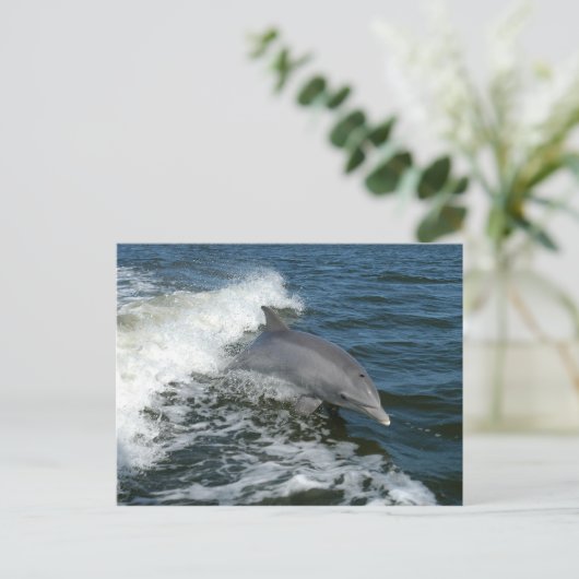 briefkaart van dolfijnfoto ' s in flessenvorm (Staand voorkant)