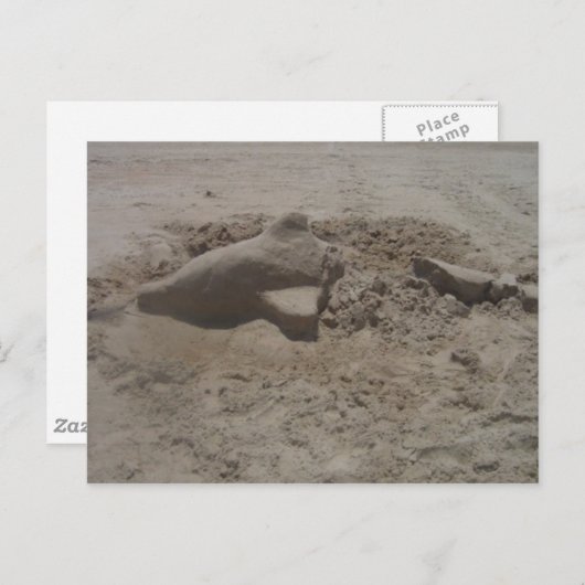 Briefkaart van Dolphin Sandcastle (Voorkant / Achterkant)