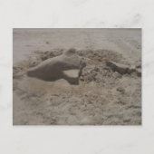 Briefkaart van Dolphin Sandcastle (Voorkant)